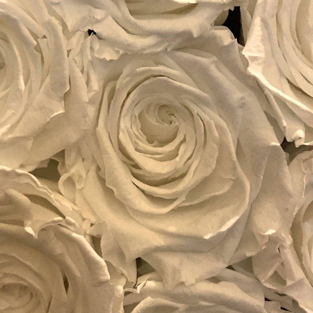 Meet your Posher, Kay